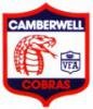 cobrascorer's picture