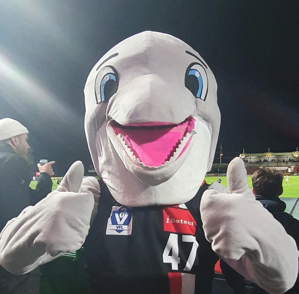 UpTheDolphins's picture